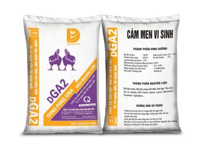 Cám Heo Dong pong vina - DGA2