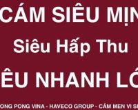 Cám siêu mịn – siêu hấp thu – siêu nhanh lớn